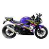 MOTOCICLETA FACTORY BIKE PATA NEGRA 370 CCMORADO