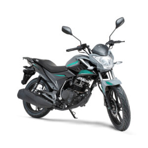 MOTOCICLETA IGM IM160STR-2E PLOMO
