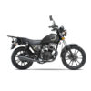 MOTOCICLETA IGM IM200VEGY-4 GRIS