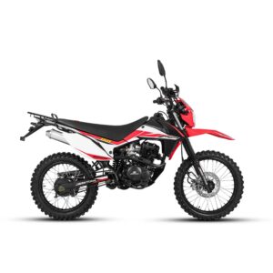 MOTOCICLETA DAYTONA DY250 MONTANA B/I NEGRO O ROJO