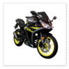 MOTOCICLETA TUKO 250CC STORM