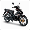 MOTOCICLETA SHINERAY XY125-30A NEGRO