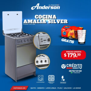 COCINA ECOLINE AMALIA 21" C/T SILVER 4Q