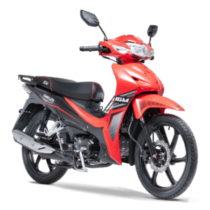 MOTOCICLETA IGM  IM125CB-7D ROJO AÑO 2025