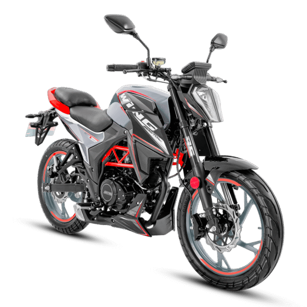 MOTOCICLETA DAYTONA DY200 WING EVO II PLOMO AÑO 2026